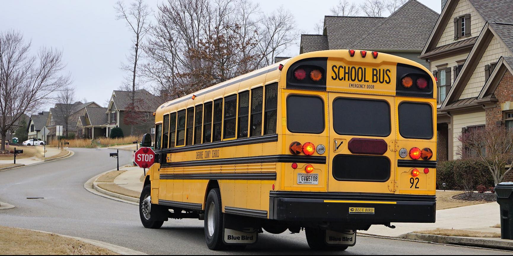 Milestones results show pandemic’s effects on Cherokee County students